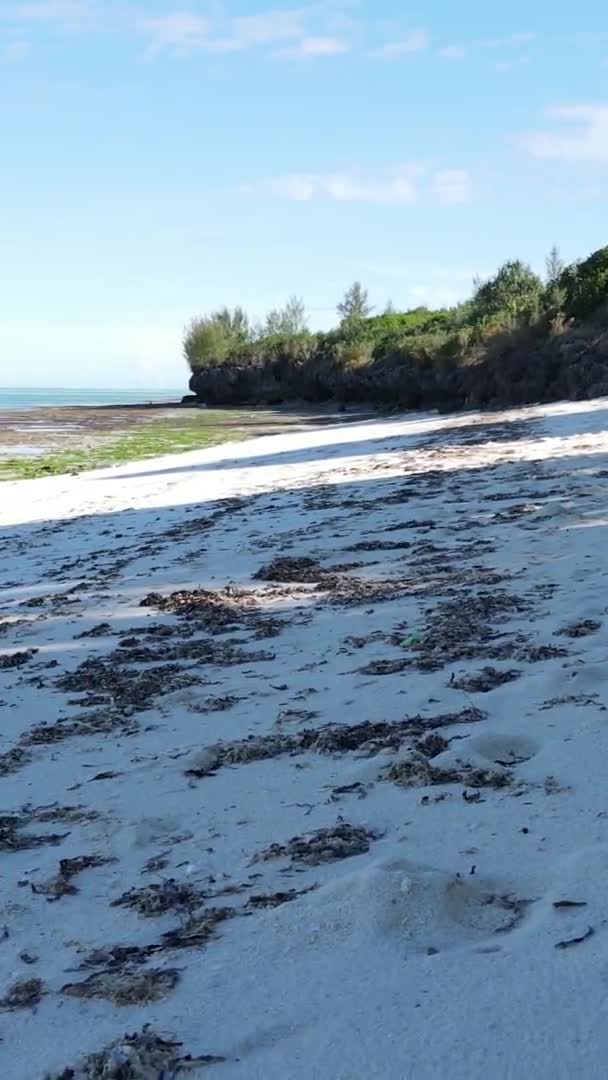 Függőleges videó üres strand a Zanzibár szigeten, Tanzánia, légi felvétel — Stock videók