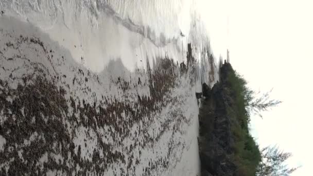 Vidéo verticale plage vide sur l'île de Zanzibar, Tanzanie, vue aérienne — Video