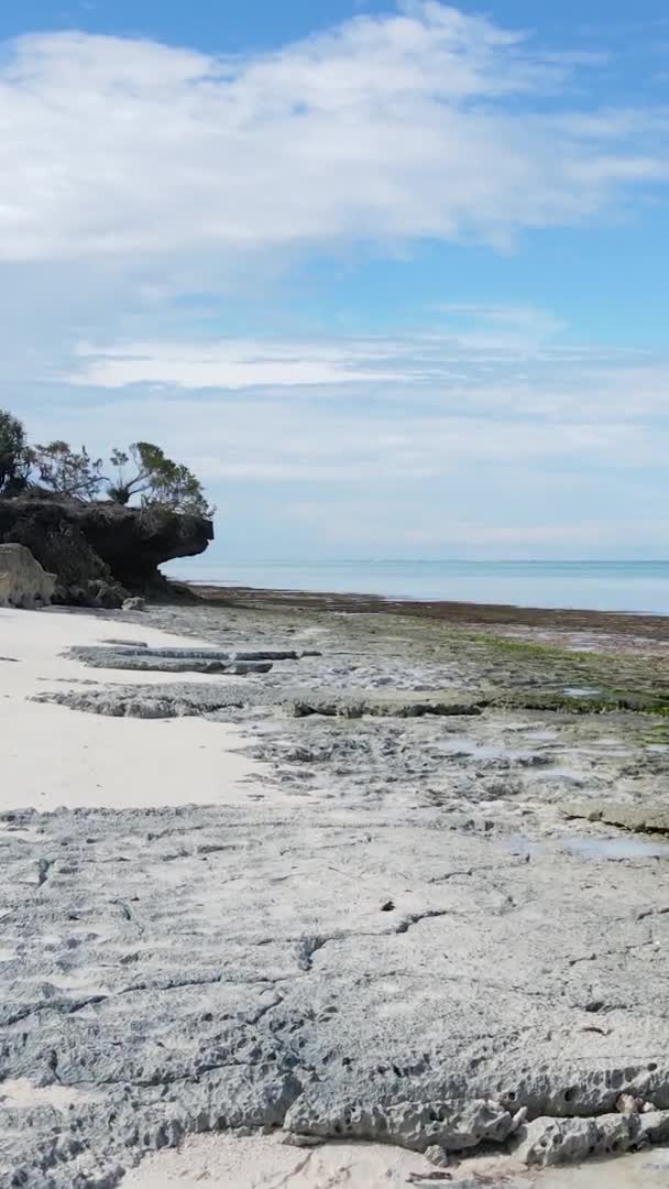 Függőleges videó üres strand a Zanzibár szigeten, Tanzánia, légi felvétel — Stock videók