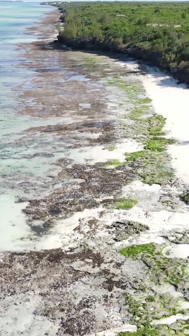 Vertikal video tom strand på ön Zanzibar, Tanzania, Flygfoto — Stockvideo