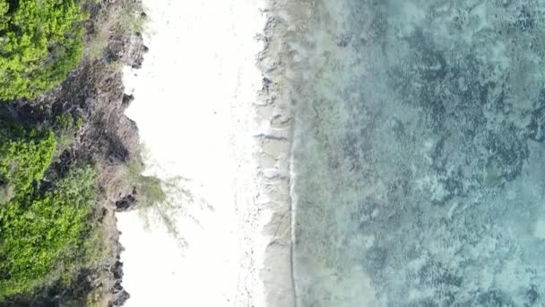 Vertical video empty beach on Zanzibar island, Tanzania, aerial view — Stock Video