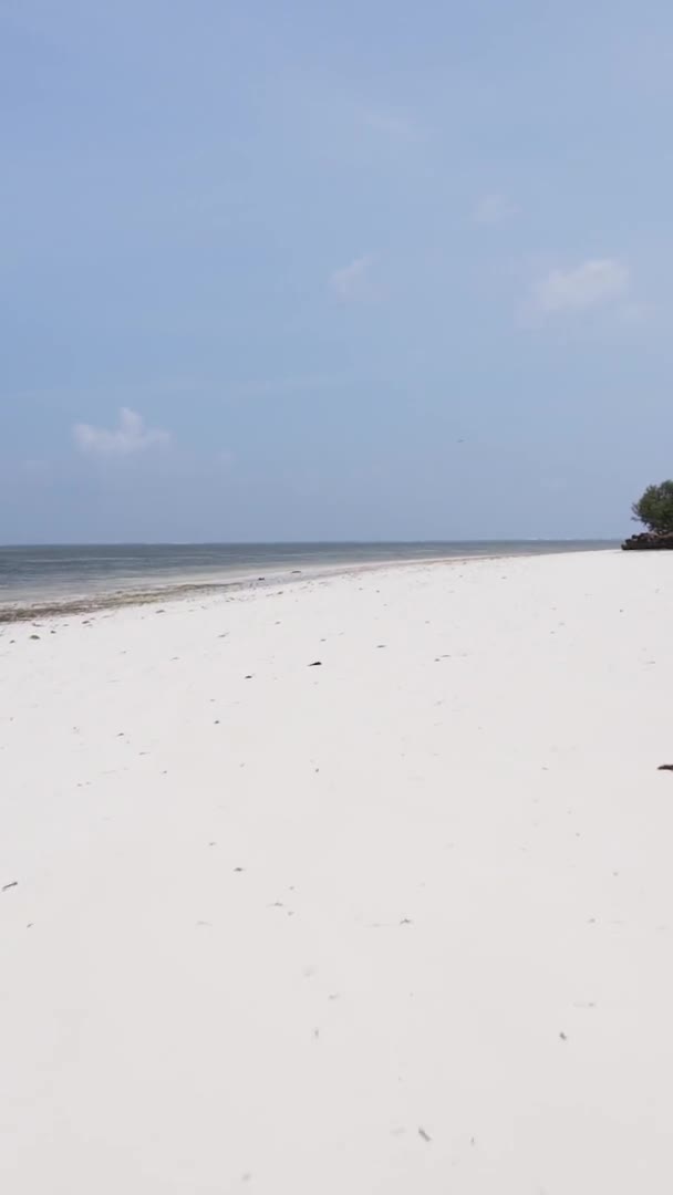 Függőleges videó üres strand a Zanzibár szigeten, Tanzánia, légi felvétel — Stock videók