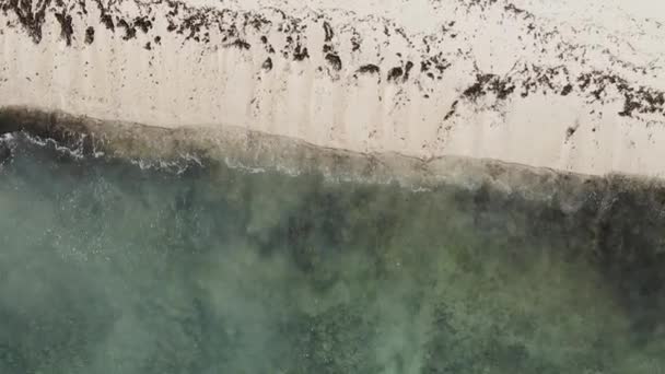 Vertical video empty beach on Zanzibar island, Tanzania, aerial view — Stock Video