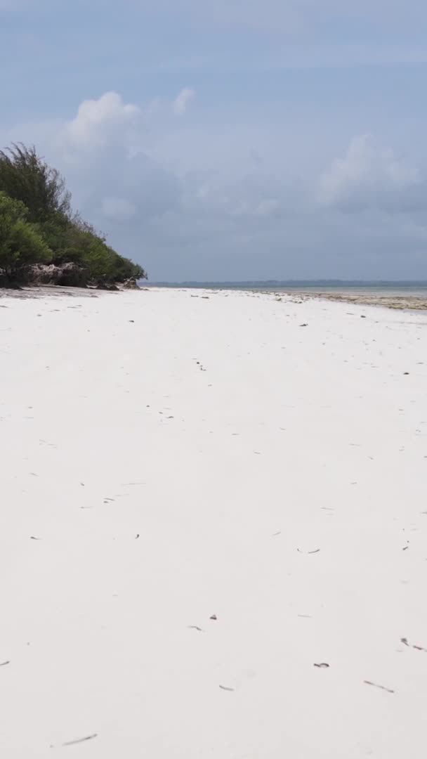 Függőleges videó üres strand a Zanzibár szigeten, Tanzánia, légi felvétel — Stock videók