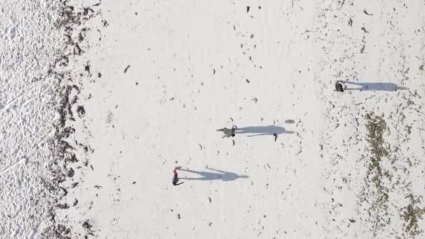 Pionowe video ludzie grać w piłkę nożną na plaży w Zanzibar, Tanzania, widok z powietrza — Wideo stockowe