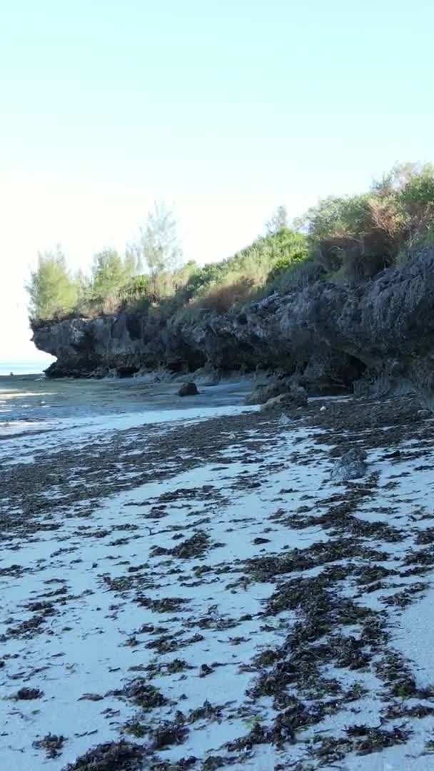 坦桑尼亚桑给巴尔岛的垂直视频空旷海滩，空中景观 — 图库视频影像