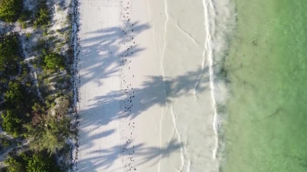 Vertical video empty beach on Zanzibar island, Tanzania, aerial view — Stock Video