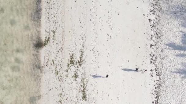 Vídeo vertical pessoas jogam futebol na praia em Zanzibar, Tanzânia, vista aérea — Vídeo de Stock
