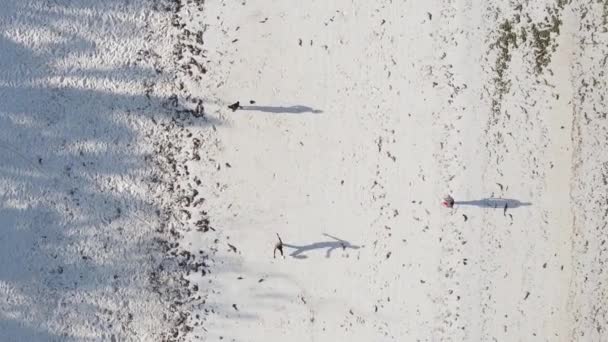 Vertikal video människor spela fotboll på stranden i Zanzibar, Tanzania, antenn utsikt — Stockvideo
