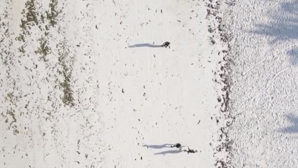 탄자니아 잔지바르 해변에서 비디오로 축구를 하는 모습, 공중에서 본 모습 — 비디오