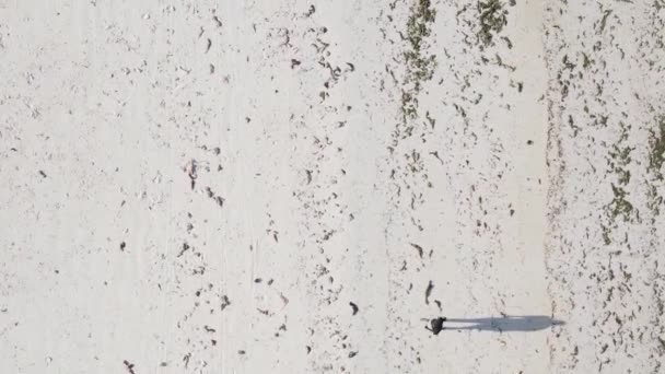 Vertikální video lidé hrají fotbal na pláži v Zanzibaru, Tanzanie, letecký pohled — Stock video