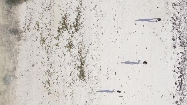Вертикальное видео люди играют в футбол на пляже в Занзибаре, Танзания, вид с воздуха — стоковое видео