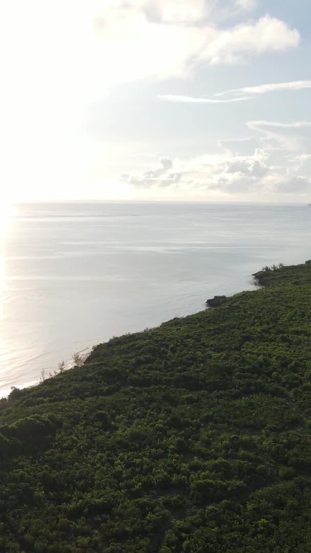 Zanzibar, Τανζανία - ωκεάνιες ακτές καλυμμένες με πράσινα στίγματα, κάθετο βίντεο, εναέρια άποψη — Αρχείο Βίντεο