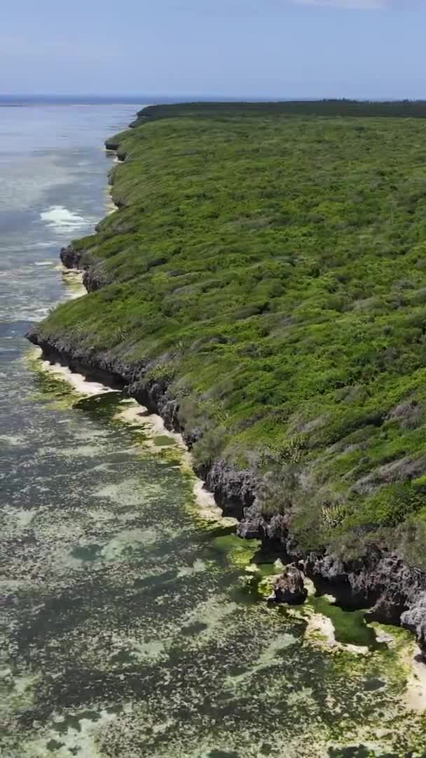 Zanzibar, Tanzânia - costa oceânica coberta com moitas verdes, vídeo vertical, vista aérea — Vídeo de Stock