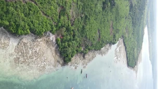Zanzibar, Tanzanya - yeşil çalılıklarla kaplı okyanus kıyısı, dikey video, hava manzarası — Stok video
