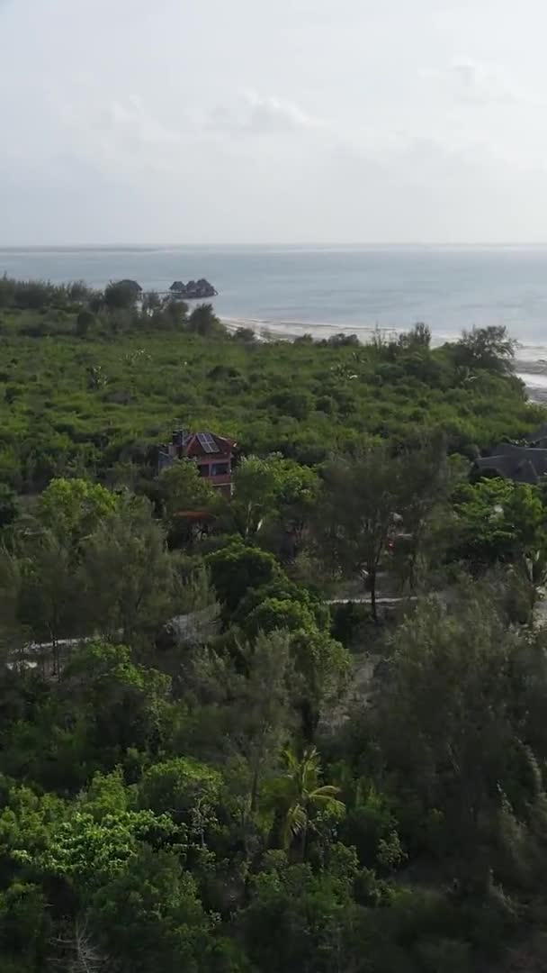 Zanzibar, Tanzanya - yeşil çalılıklarla kaplı okyanus kıyısı, dikey video, hava manzarası — Stok video