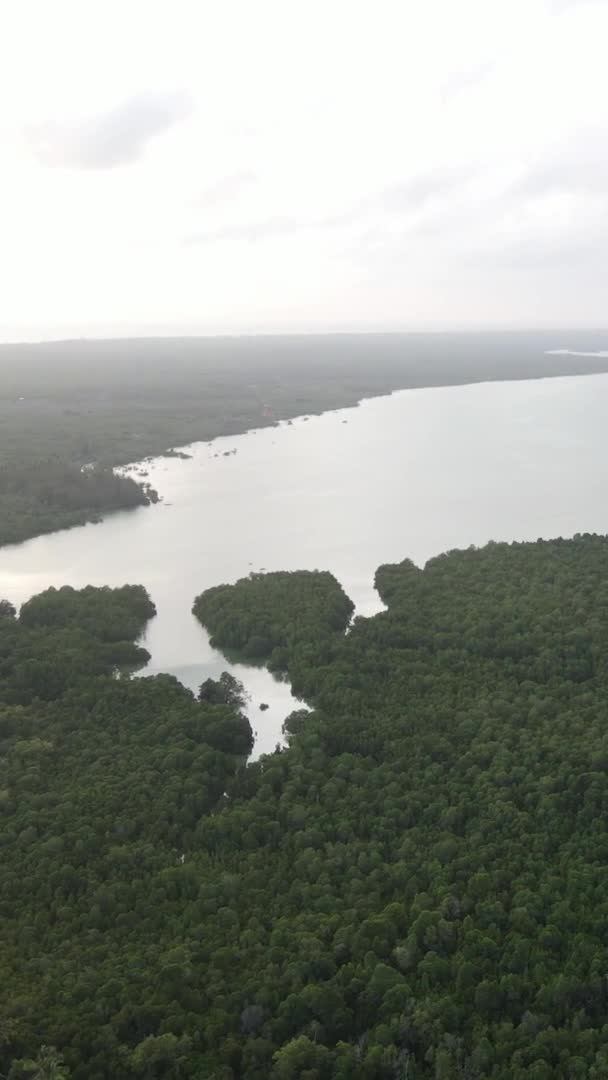 Zanzibar, Tanzânia - costa oceânica coberta com moitas verdes, vídeo vertical, vista aérea — Vídeo de Stock