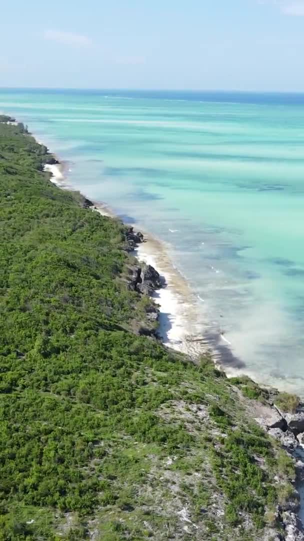 Zanzibar, Tanzania - riva dell'oceano ricoperta di boscaglie verdi, video verticale, vista aerea — Video Stock