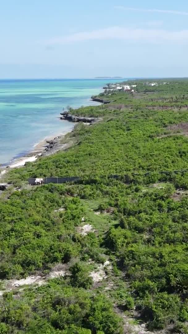 Zanzibar, Tanzana -緑の茂みで覆われた海の海岸,垂直ビデオ,空撮 — ストック動画