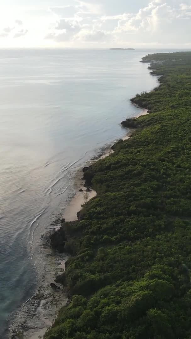 Zanzibar, Tanzânia - costa oceânica coberta com moitas verdes, vídeo vertical, vista aérea — Vídeo de Stock