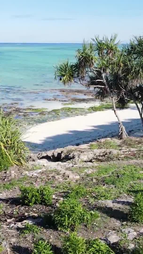Zanzibar, Tanzana -緑の茂みで覆われた海の海岸,垂直ビデオ,空撮 — ストック動画