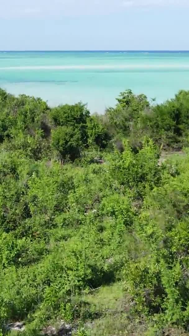 Zanzibar, Tanzanie - côte de l'océan couverte de broussailles vertes, vidéo verticale, vue aérienne — Video
