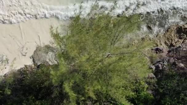 Zanzibar, Tanzania - oceaankust bedekt met groene struiken, verticale video, luchtfoto — Stockvideo