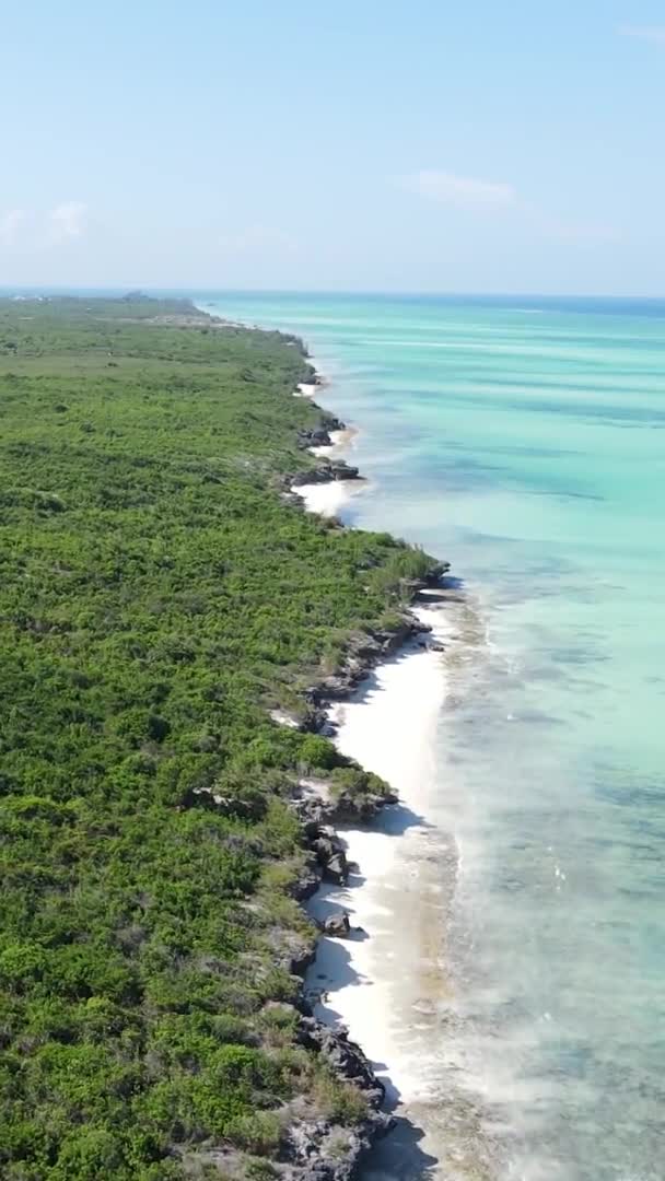 Zanzibar, Tanzanya - yeşil çalılıklarla kaplı okyanus kıyısı, dikey video, hava manzarası — Stok video