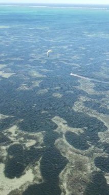 Zanzibar, Tanzanya kıyısı yakınlarında dikey video uçurtması, hava manzarası