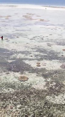 Zanzibar, Tanzanya 'da bir kıyı manzarasının dikey videosu, hava manzarası