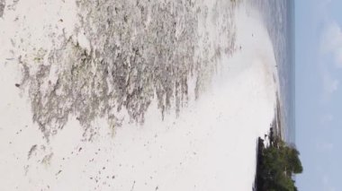 Zanzibar, Tanzanya 'da bir kıyı manzarasının dikey videosu, hava manzarası