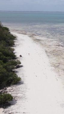 Zanzibar, Tanzanya 'da bir kıyı manzarasının dikey videosu, hava manzarası