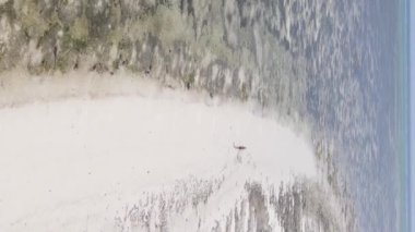 Zanzibar, Tanzanya 'da bir kıyı manzarasının dikey videosu, hava manzarası