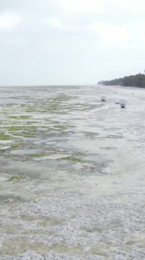 Zanzibar, Tanzanya 'da bir kıyı manzarasının dikey videosu, hava manzarası