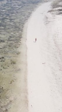 Zanzibar, Tanzanya 'da bir kıyı manzarasının dikey videosu, hava manzarası
