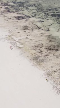 Zanzibar, Tanzanya 'da bir kıyı manzarasının dikey videosu, hava manzarası