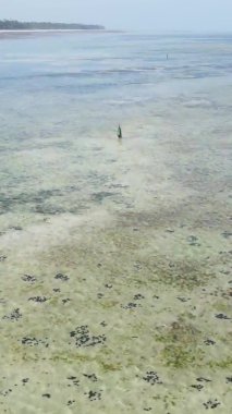 Zanzibar, Tanzanya 'da bir kıyı manzarasının dikey videosu, hava manzarası