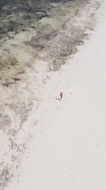 Zanzibar, Tanzanya 'da bir kıyı manzarasının dikey videosu, hava manzarası