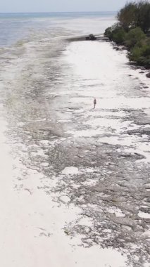 Zanzibar, Tanzanya 'da bir kıyı manzarasının dikey videosu, hava manzarası