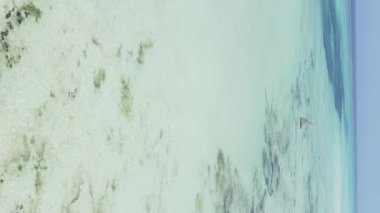 Zanzibar, Tanzanya kıyısı yakınlarındaki okyanusta dikey video tekneleri.