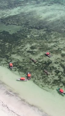 Zanzibar, Tanzanya kıyısı yakınlarındaki okyanusta dikey video tekneleri.