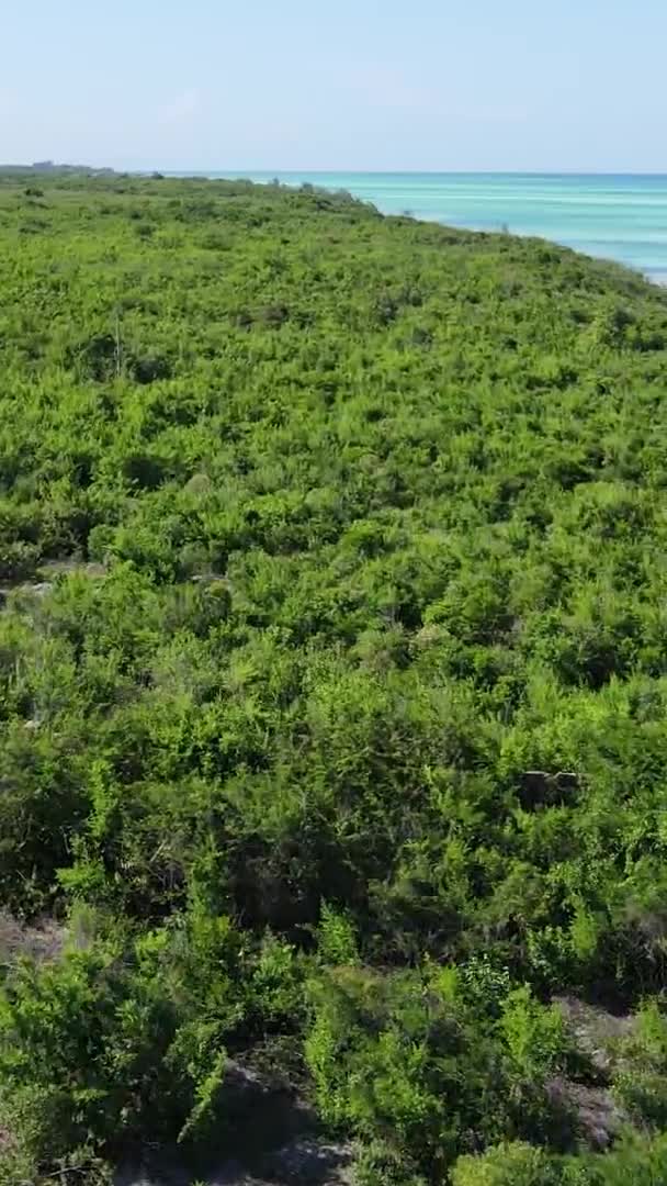Zanzibár, Tanzánia - óceán partján borított zöld bozót, függőleges videó, légi felvétel — Stock videók