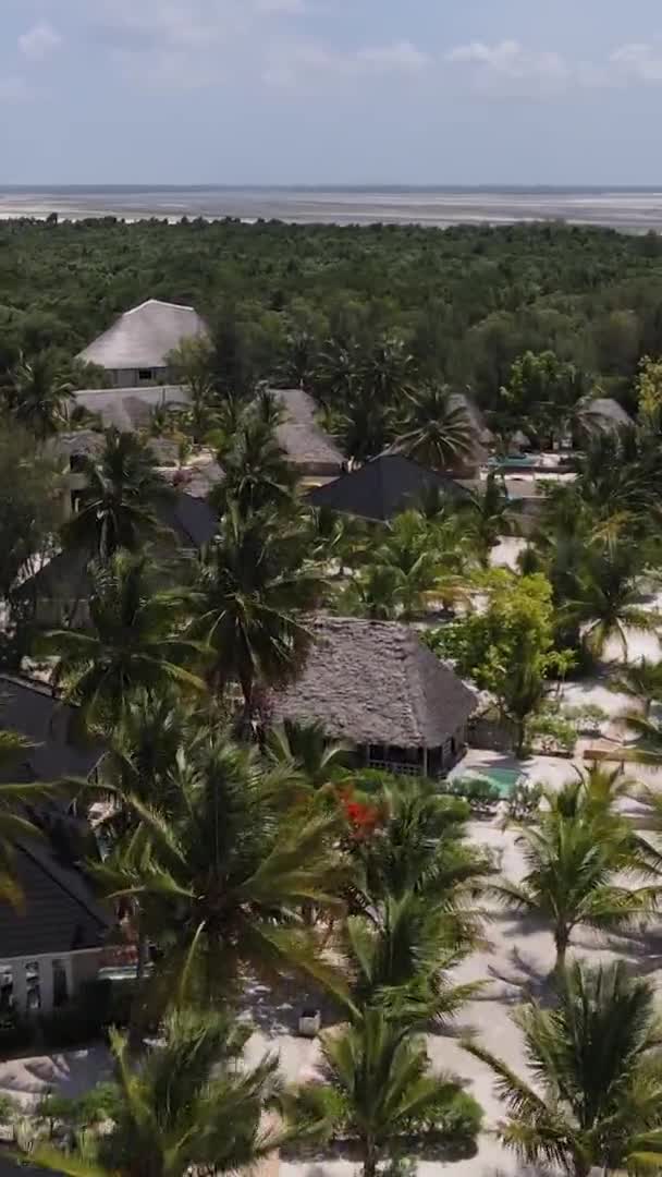 Tanzânia - vista aérea de casas perto da costa de Zanzibar, vídeo vertical — Vídeo de Stock