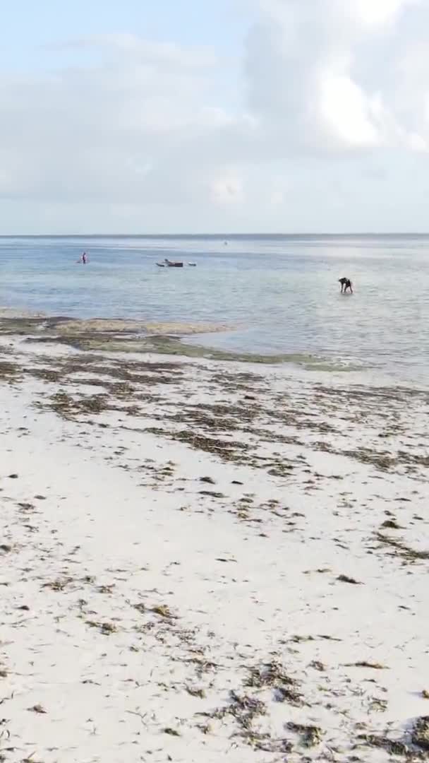 Vertikales Video einer Küstenlandschaft in Sansibar, Tansania, Luftaufnahme — Stockvideo