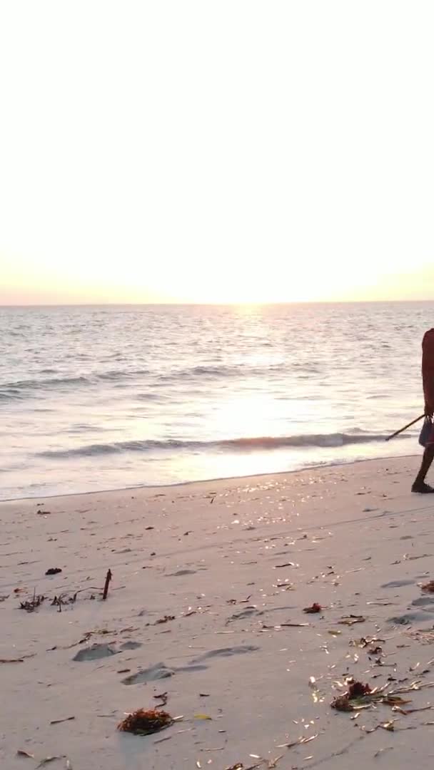 탄자니아 잔지바르의해 안 풍경 을묘 사 한 수직 영상, 항공사진 — 비디오