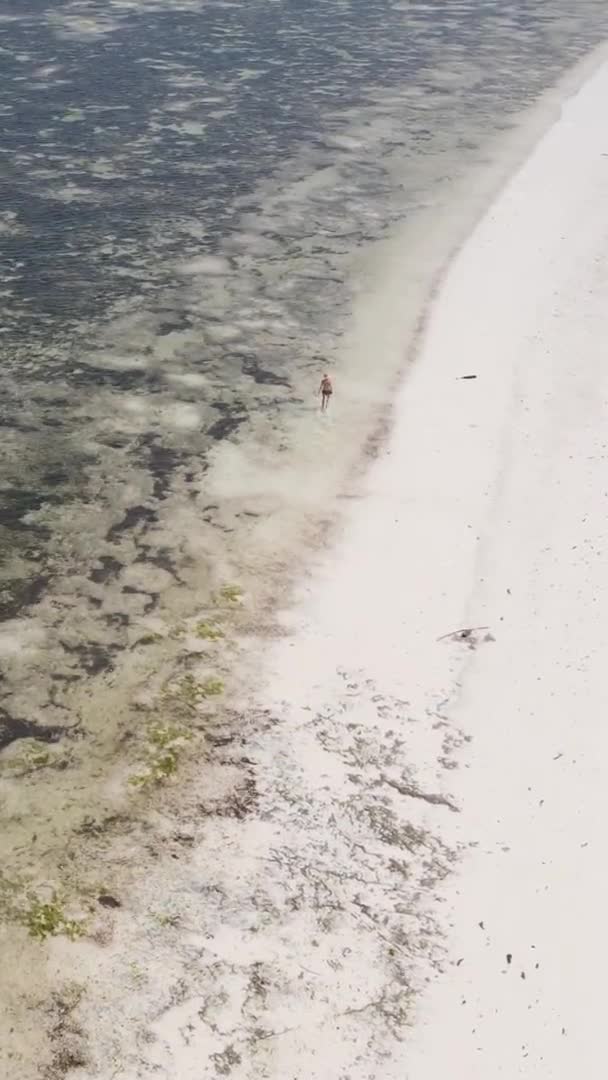 Verticale video van een kustlandschap in Zanzibar, Tanzania, luchtfoto — Stockvideo