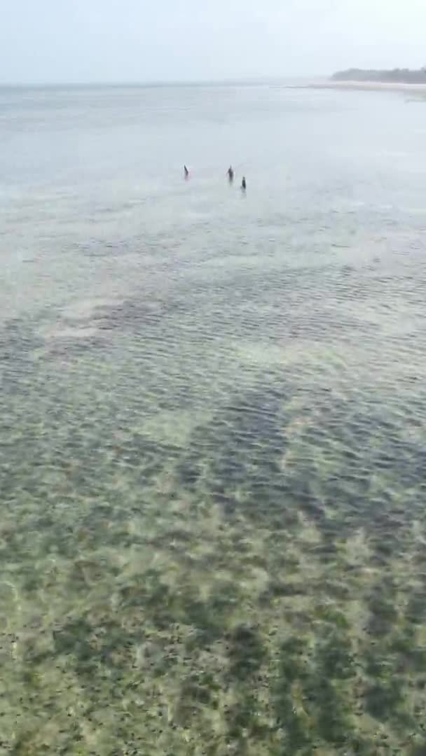 Verticale video van een kustlandschap in Zanzibar, Tanzania, luchtfoto — Stockvideo