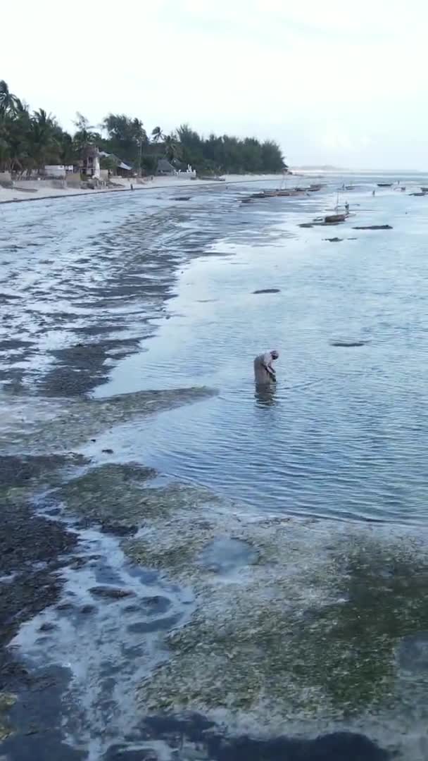 坦桑尼亚桑给巴尔沿海景观的垂直视频，航拍 — 图库视频影像