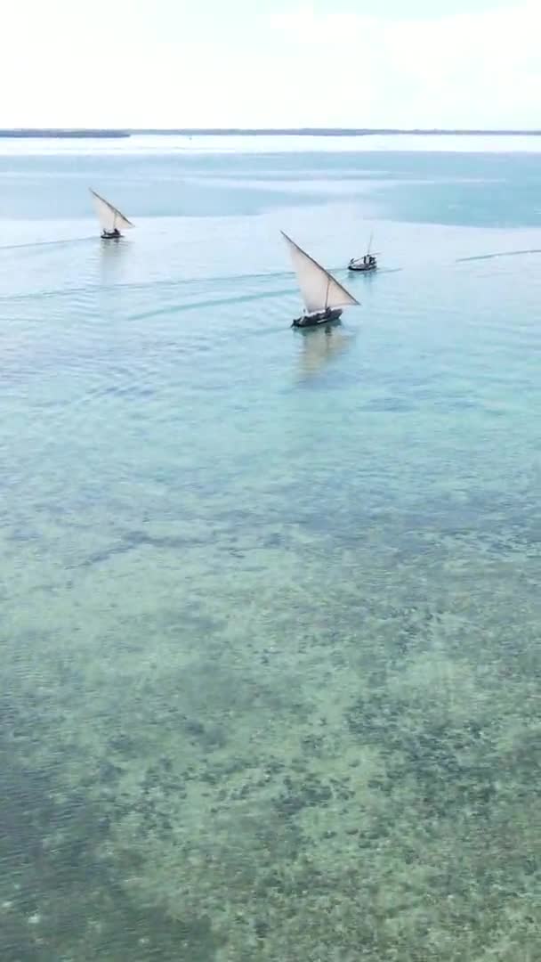 Vertikale Videoboote im Ozean vor der Küste von Sansibar, Tansania, Luftaufnahme — Stockvideo