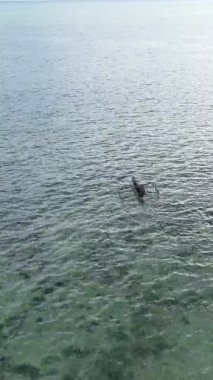 Zanzibar, Tanzanya kıyısı yakınlarındaki okyanusta dikey video tekneleri.